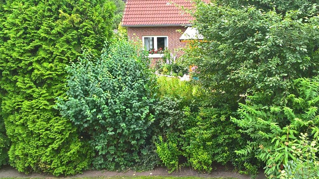 Ferienwohnung Fuchskuhle Bockhorn  Exteriör bild
